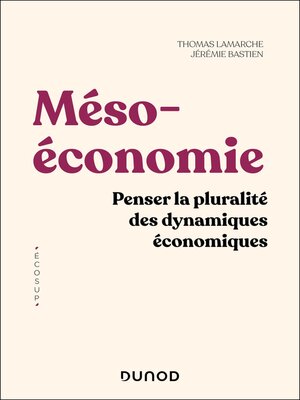 cover image of Mésoéconomie